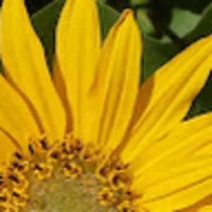 Meet your Posher, Ruth